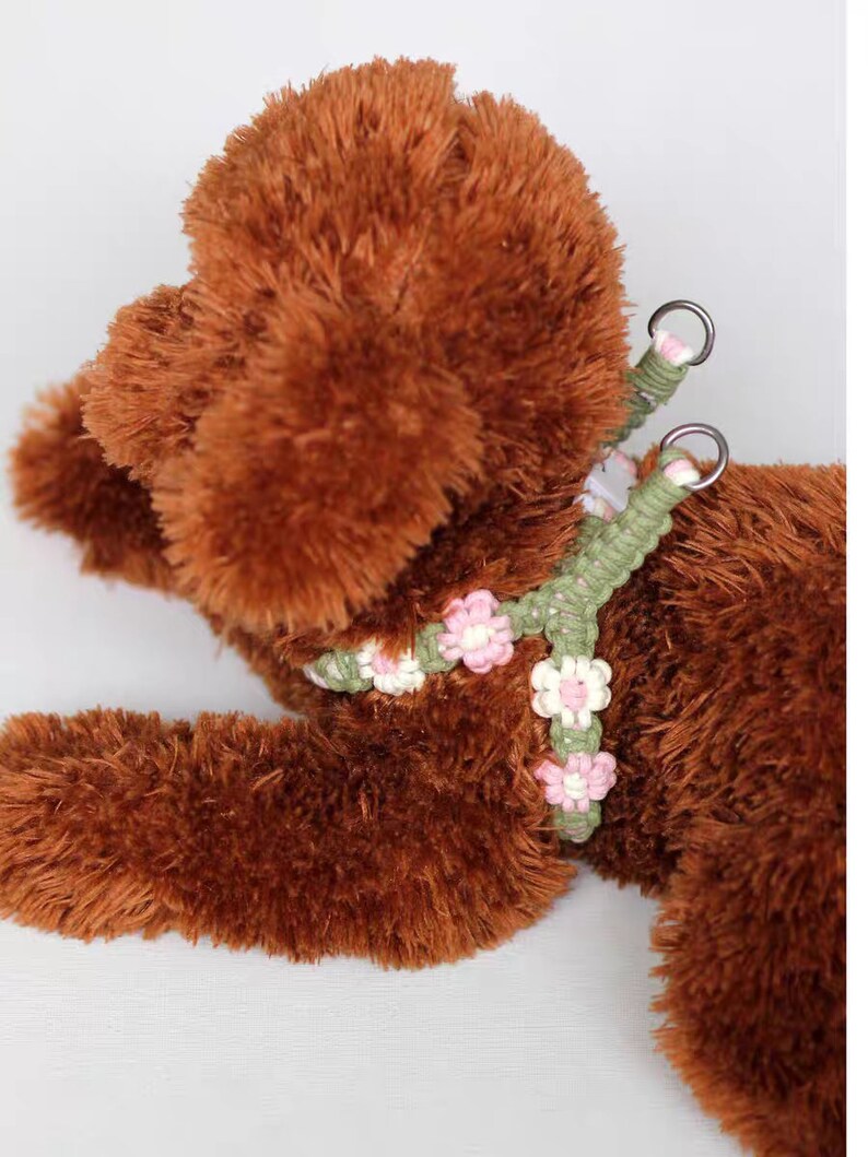 May include: A brown plush toy dog wearing a green and pink floral dog harness with metal D-rings.