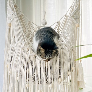Könnte beinhalten: Eine grau-weiße Katze entspannt sich in einer weißen Makramee-Hängematte mit Holzperlen. Die Hängematte hängt von der Decke und hat einen Fransenrand.