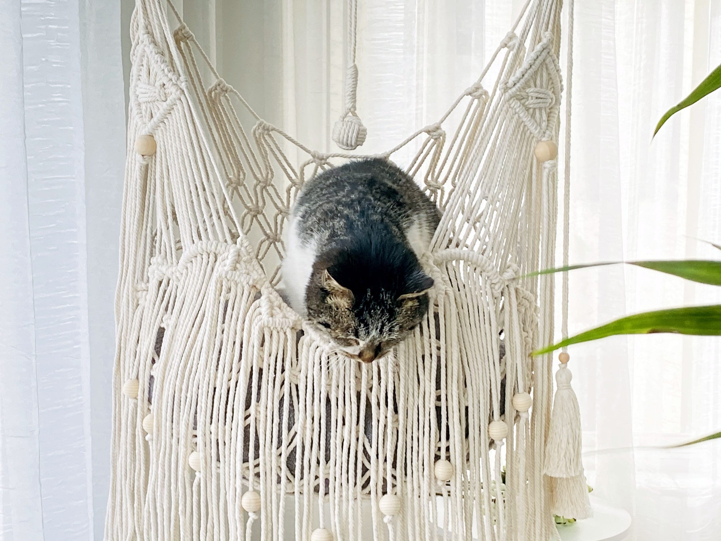 Makramee Katzen Hängematte Geschenk, Makramee Katzenkorb, Makramee Katzenschaukel, Makramee Katzenbettwäsche, Makramee Katzen Übertopf, Katzen Geschenk