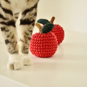 English Beginner Level PDF Macrame Pattern for Apple Ornament - Macrame PDF Tutorial Step by Step - Diy Macrame Pattern - Christmas Gift