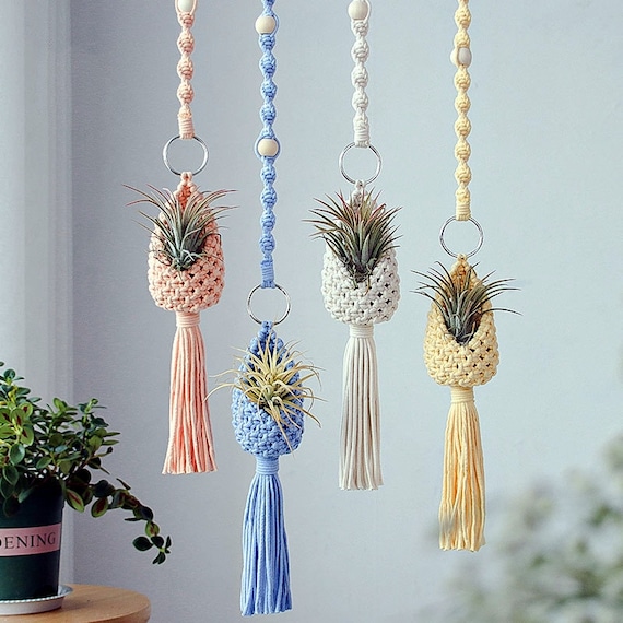DIY Macrame Air Plant Hanger Pattern | Macrame Tutorial for Beginner Level  | Macrame Learning | How to Macrame | Personalized Gifts - Etsy