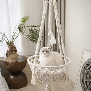 Puede incluir: Una cama para gatos de macramé color crema con un cojín blanco, suspendida del techo. Un gato blanco y esponjoso con ojos azules está dentro. La cama tiene cuentas de madera y una borla. Un juguete de plumas blancas cuelga de arriba.