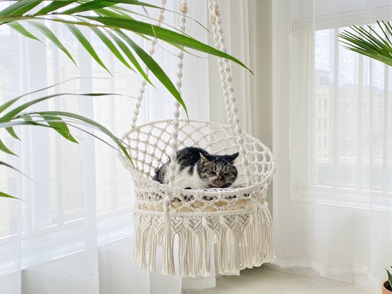 Cat basket bed sale