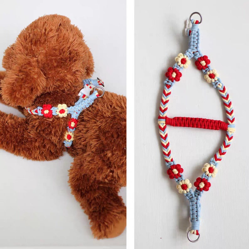 May include: A blue and red dog harness with yellow and red flower accents. The harness is made of braided rope and has a metal ring for attaching a leash.