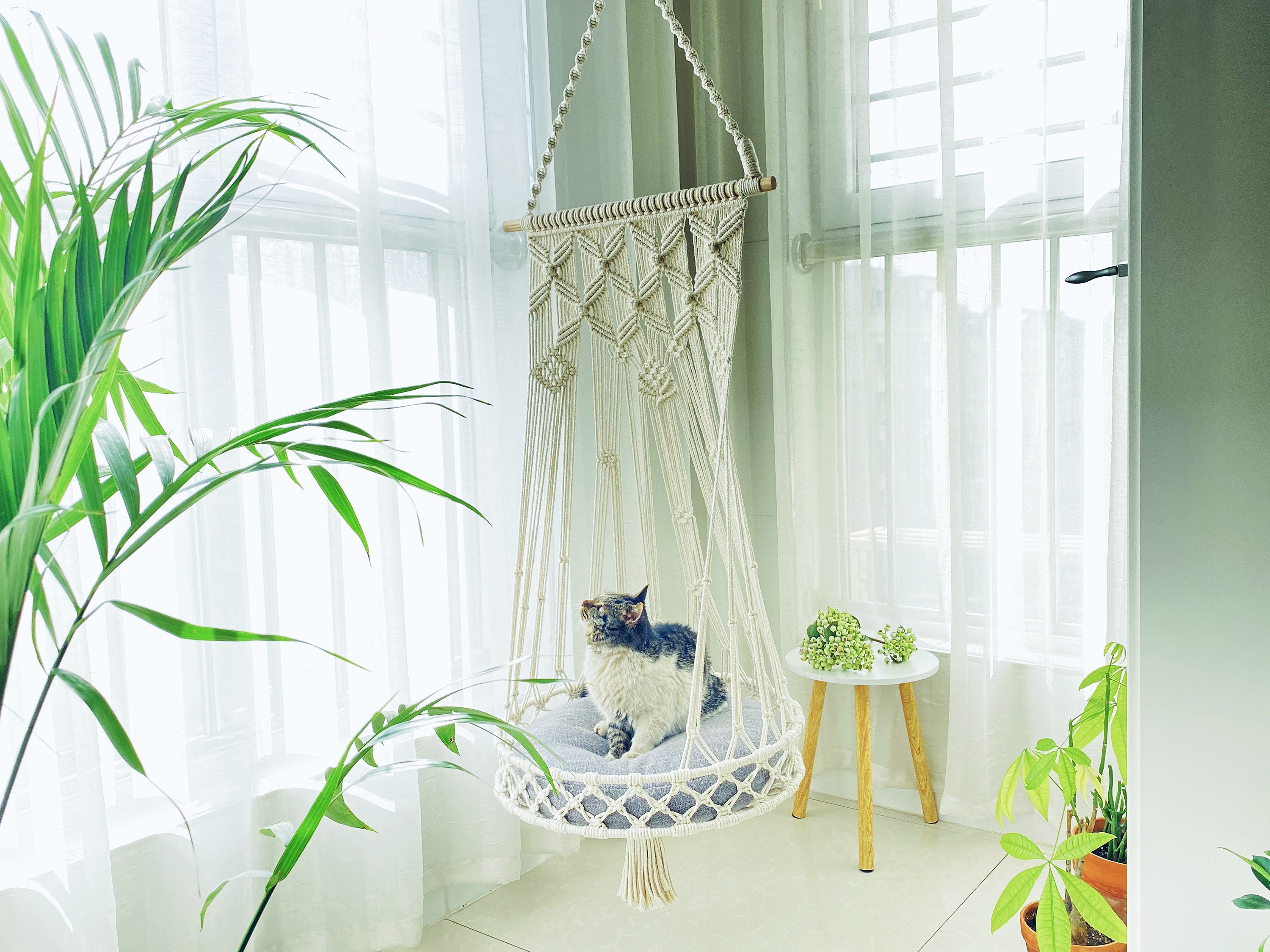 Macrame Cat Bed Hanging; Swing; Planter; Hanger; Owner Gift, Gift For Mom