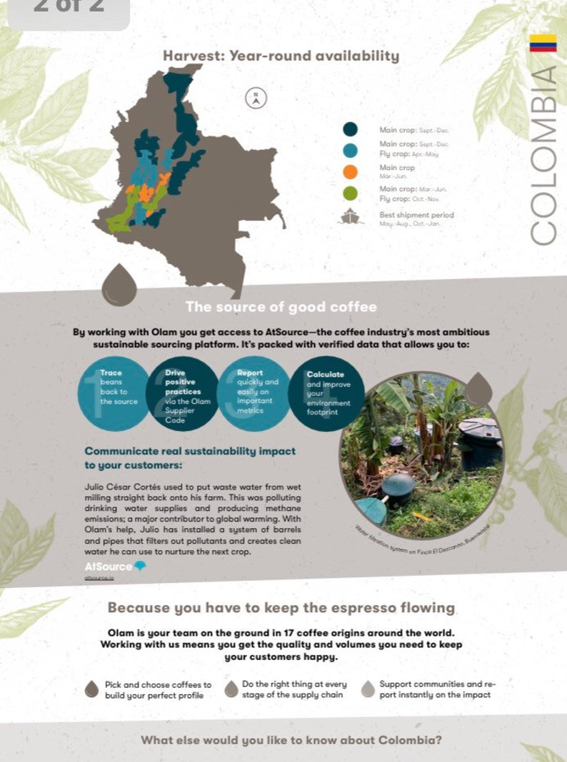 16 Oz Café Metade Halfnhalf Decaf Colombian and Regular Brazil Blend