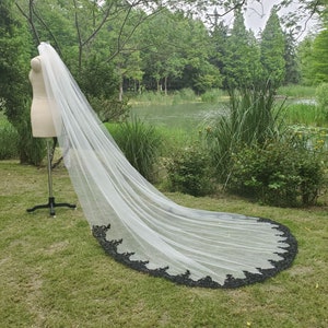 Black Lace veil Bride Wedding Cathedral veil Champagne  bridal veils White Ivory 3M and comb