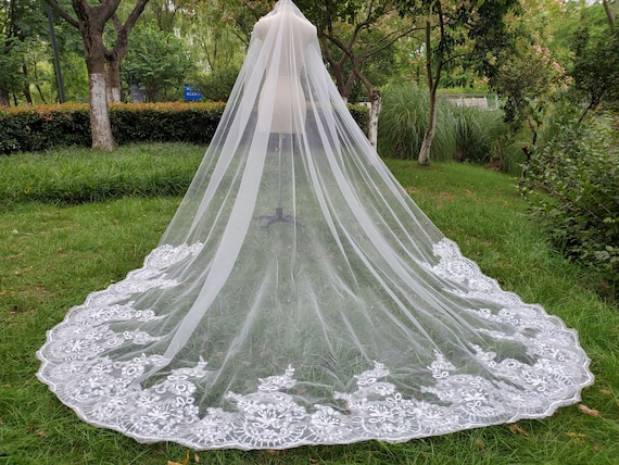 Fairy Tale Worthy Cathedral Length Lace Bridal Veil Fit For A