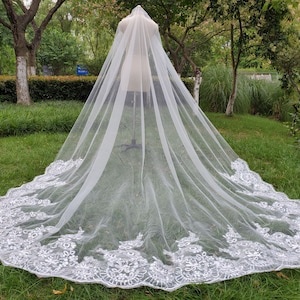 May include: A white bridal veil with a delicate lace trim. The veil is long and flowing, with a scalloped edge.