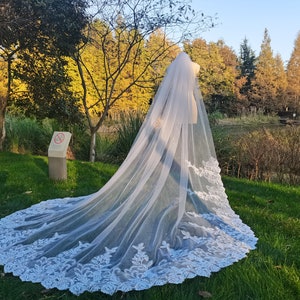 Cathedral wedding veils / ivory lace veil /Sequins lace applique long bridal veil, white vail &vomb