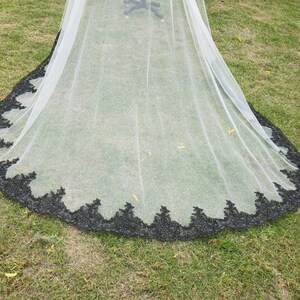 May include: A white tulle veil with a black lace trim. The lace trim is a delicate floral design.