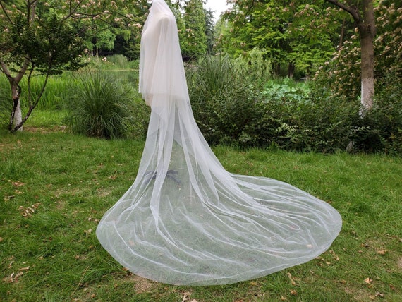 Long wedding 2024 veils with crystals