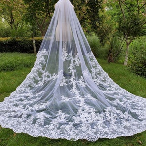 Luxury wedding veils / ivory lace veil /lace applique cathedral veils, long bridal veil, white vail &vomb