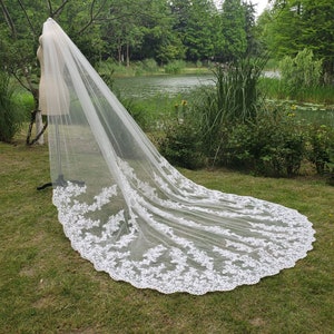 May include: A long, white bridal veil with intricate floral lace detailing along the edges. The veil is displayed on a mannequin in a grassy outdoor setting, with a lake and trees in the background. The veil's length is visible.