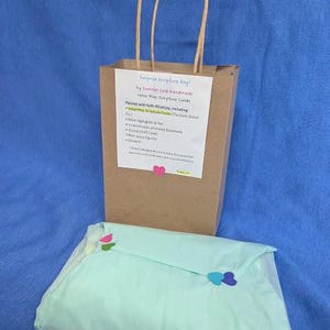 May include: A brown paper gift bag with twisted handles and a white label reading Surprise Scripture Bag by Summer Love Handmade. The label lists contents including Verse Map Scripture Cards, a highlighter, pen, bookmark, journal, and stickers. A mint green tissue-wrapped package sits in front.