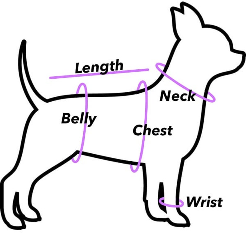 Dog Harness Blue with Cherries for Small Dogs