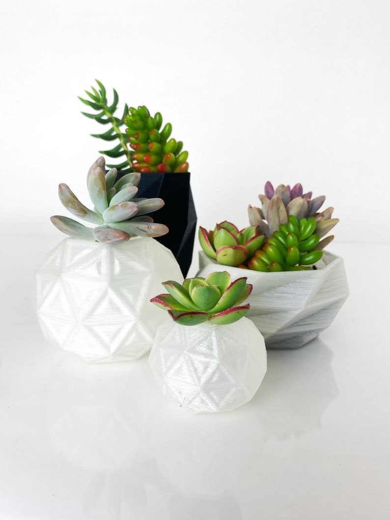 Succulent Pots  Set of 4 image 0