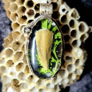 Nine Banded Armadillo Claw on Poison Hemlock Leaf Silver Pendant
