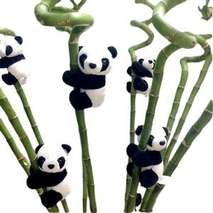 Op de afbeelding: Verschillende pluche panda's die zich vastklampen aan groene bamboestengels. De panda's hebben zwart-witte vacht, met zwarte oren en oogvlekken. De bamboestengels zijn felgroen, wat een speelse en natuurlijke scène creëert.