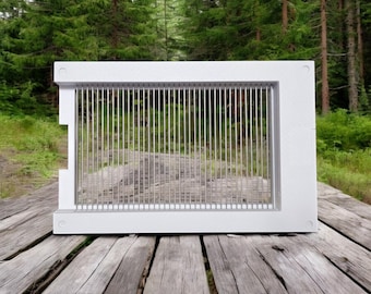 Bee Venom Collector - SMART-BEE BASIC +