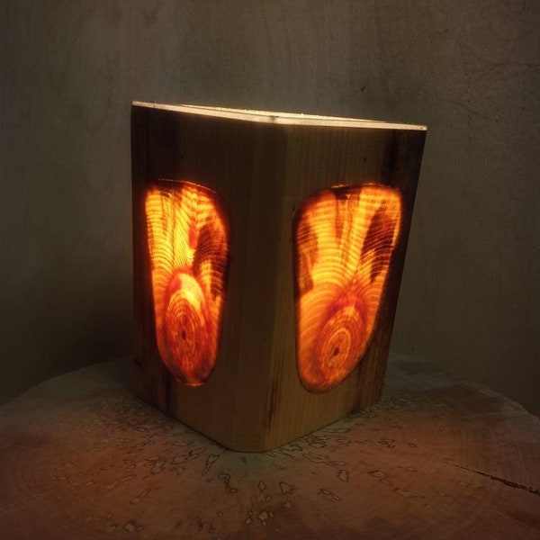 Pine log led lamp with branch pattern. Table wood lamp. Holzlampe. Tischlampe Holz