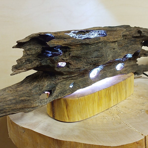 Driftwood snag accent led lamp. Phone controlled via Bluetooth. Rustic lamp. Fireplace décor. Kamindekor. Treibholz Lampe