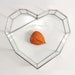 see more listings in the Terrariums Heart-shaped section