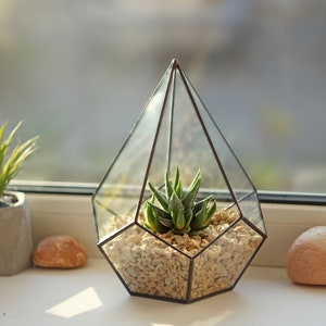 Small stained glass florarium Decorative tank for home flowers, artificial plants Cute handcrafted table decor pentagonal pyramid pot image 2
