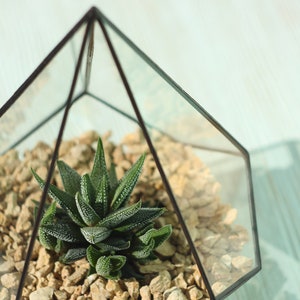 Small stained glass florarium Decorative tank for home flowers, artificial plants Cute handcrafted table decor pentagonal pyramid pot image 4