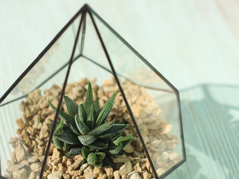 Small stained glass florarium Decorative tank for home flowers, artificial plants Cute handcrafted table decor pentagonal pyramid pot image 4