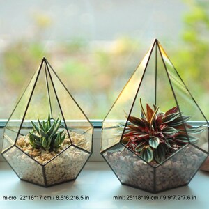 Small stained glass florarium Decorative tank for home flowers, artificial plants Cute handcrafted table decor pentagonal pyramid pot image 3