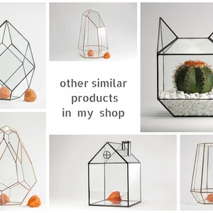 Geometric florarium for potted plants, moss, carnivorous plant Glass crystal planter pot Modern windowsill decor Handmade gift Vivarium image 9