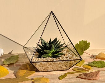 Stained glass terrarium containers for home plants; Pyramid small planter; Minimalist desk decor; Valentine day gift; Geometric flower pot;