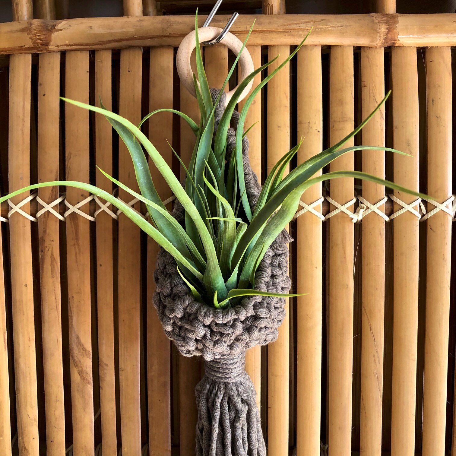 Macramé - Suspension Plantes Tillandsia Range Lingettes