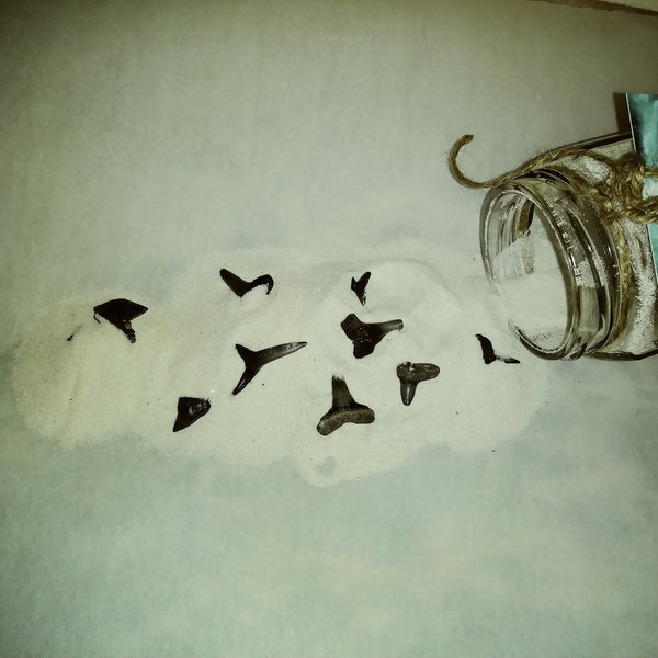 Sharks Tooth Looking Glass Jars