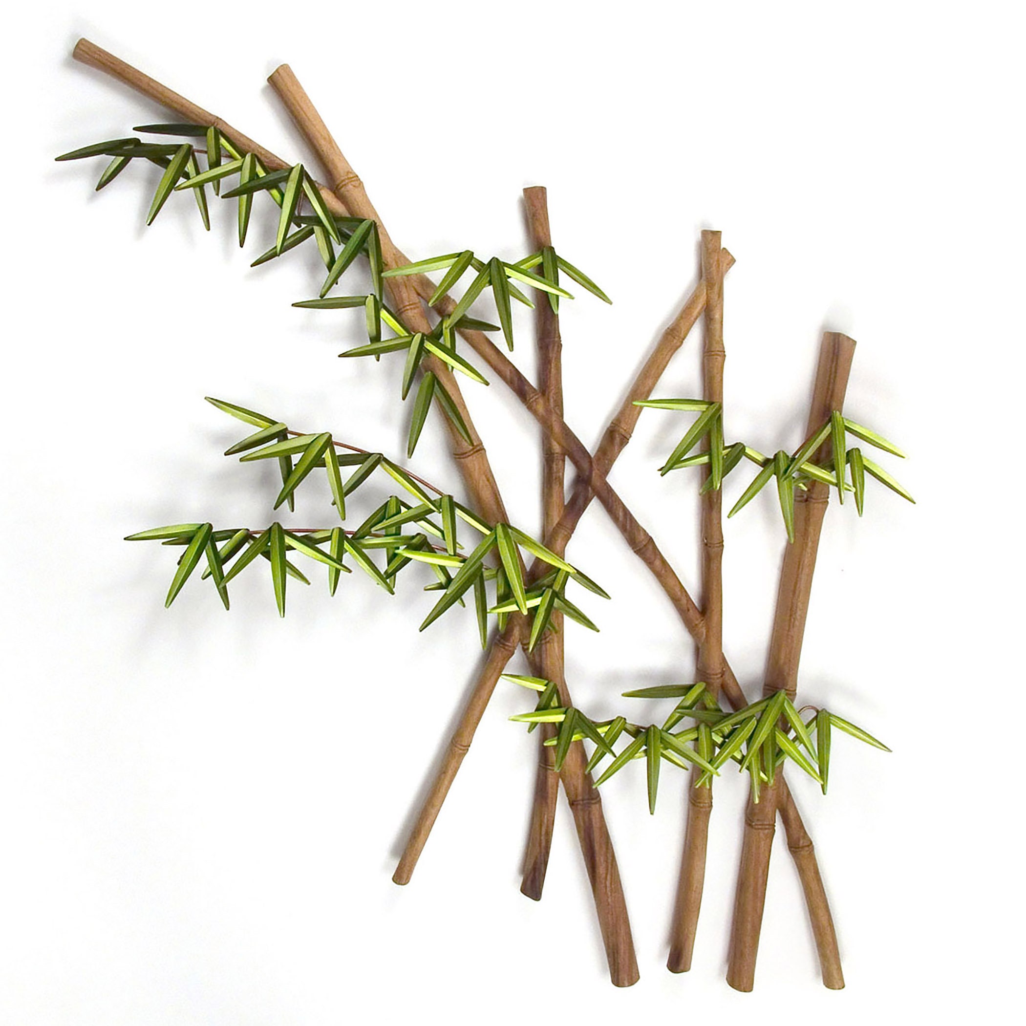 Bamboo Forest Face Left Tropical Botanical Metal Wall Decor - Etsy