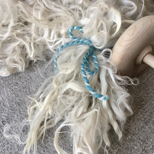 White Suri alpaca fleece raw, suri alpaca fiber, raw fleece, spinning fiber, felting fiber, wet felting, needle felting, weaving