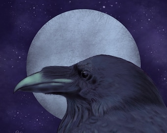Midnight Moon Raven