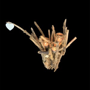 Driftwood candle holder and 3 candles in a glass jar