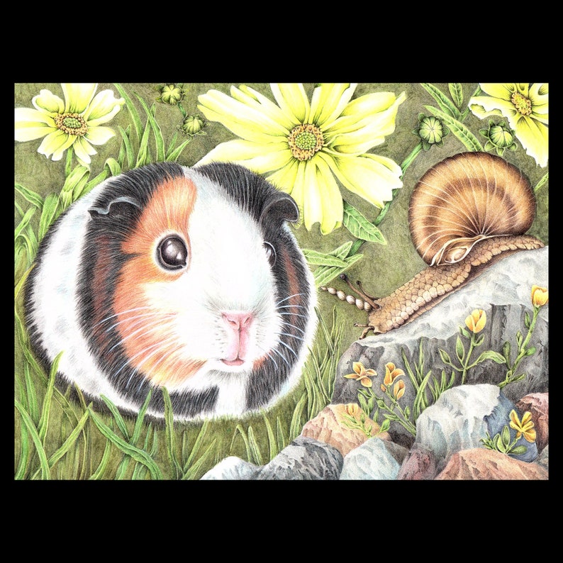 Curious Guinea Pig Greeting Card Handmade Blank Inner and Envelope Cute Guinea Pig Meets a New Unicorn Snail Friend image 3
