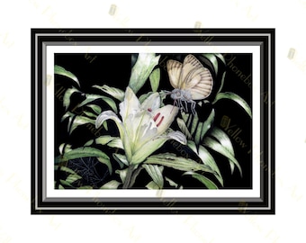 Amor a primera vista - Impresión artística de una obra de arte original