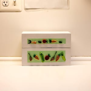 scatola di semi