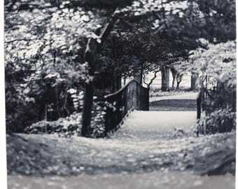 Beyond the Bridge (SKU#1376)