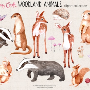 Peut inclure: Collection d'images clipart d'animaux de la for&ecirc;t, peintes &agrave; l'aquarelle, comprenant un blaireau, une loutre, un cerf, un h&eacute;risson, un lapin, un &eacute;cureuil et des champignons. Les animaux sont illustr&eacute;s dans un style fantaisiste avec des couleurs douces.