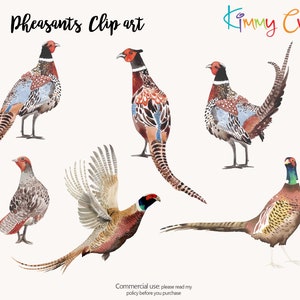 PHEASANTS clipart hand painted in watercolor by myself. 6 quality PNG files
