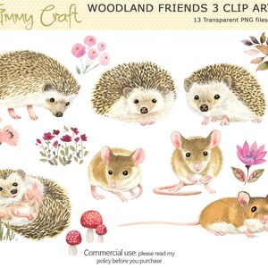 clipart aquarelle de hérissons et de souris ainsi que divers éléments de bois. 13 fichiers PNG