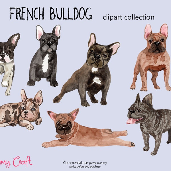 Dogs- French Bulldog Clip art  7 PNG files.  watercolor paintings as clip art
