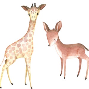 K&ouml;nnte beinhalten: Aquarell-Illustration einer Giraffe und eines Rehs. Die Giraffe ist gelb mit braunen Flecken und hat einen langen Hals. Das Reh ist braun und hat gro&szlig;e Ohren. Beide Tiere stehen auf wei&szlig;em Hintergrund.