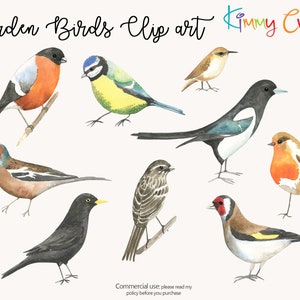 Birds - hand painted clip art 9 PNG transparent files to download
