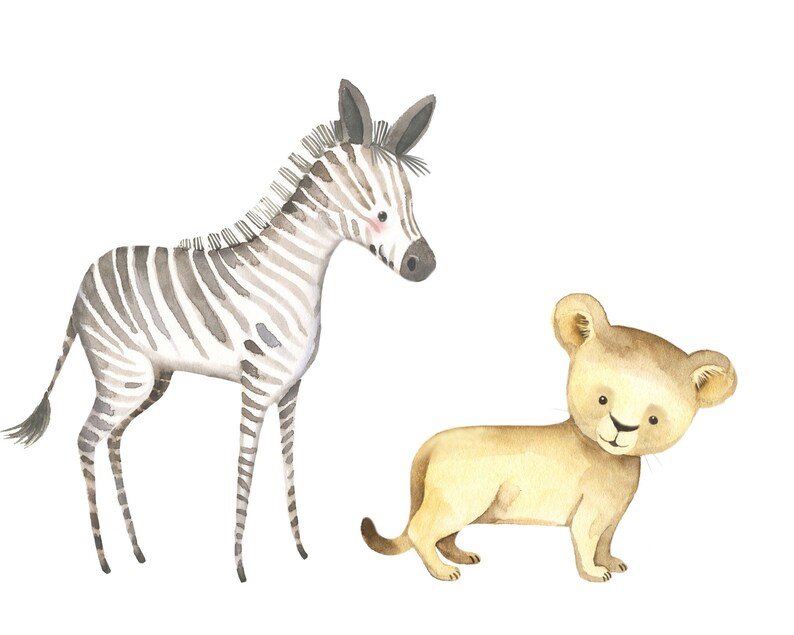 K&ouml;nnte beinhalten: Aquarell-Illustration eines Zebras und eines L&ouml;wenjungen. Das Zebra steht auf allen vieren mit dem Kopf zur Seite gedreht. Der L&ouml;wenjunge steht auf allen vieren mit dem Kopf zur Seite gedreht und schaut den Betrachter an. Beide Tiere sind in einem realistischen Stil mit weichen, gedeckten Farben gemalt.